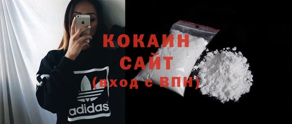mix Кедровый