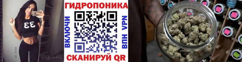 Бошки Шишки Amnesia  Курчалой 